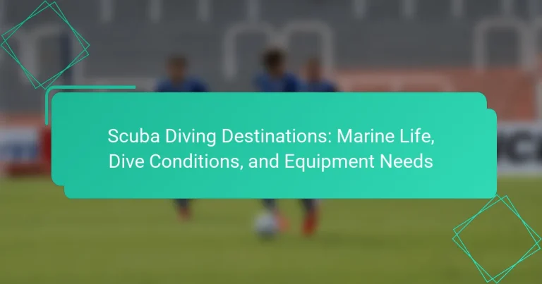 Scuba Diving Destinations: Marine Life, Dive Conditions, and Equipment Needs