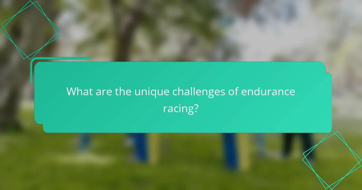 What are the unique challenges of endurance racing?